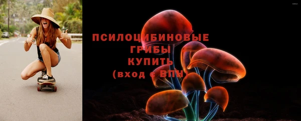 ешки Алзамай
