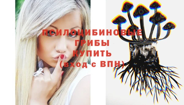 а пвп мука Алексеевка